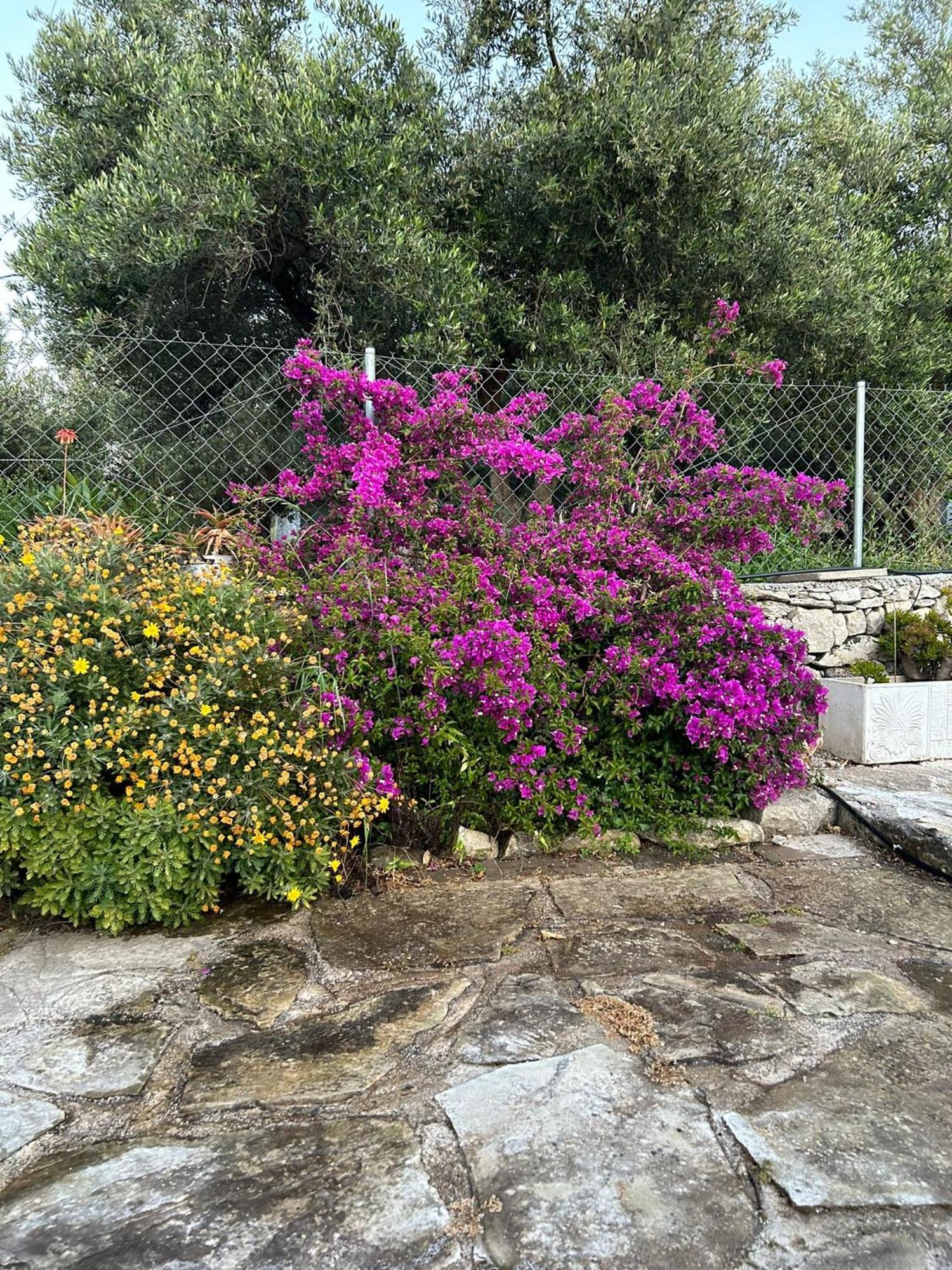 Old Stone Villa In Apokoronas Villa Nostalgia Kreta Filippos Luaran gambar